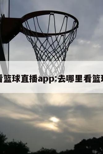 哪里看篮球直播app:去哪里看篮球直播