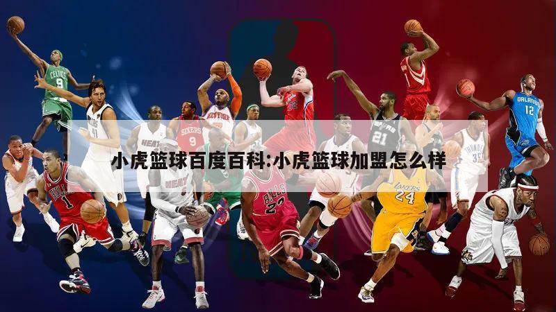 小虎篮球百度百科:小虎篮球加盟怎么样