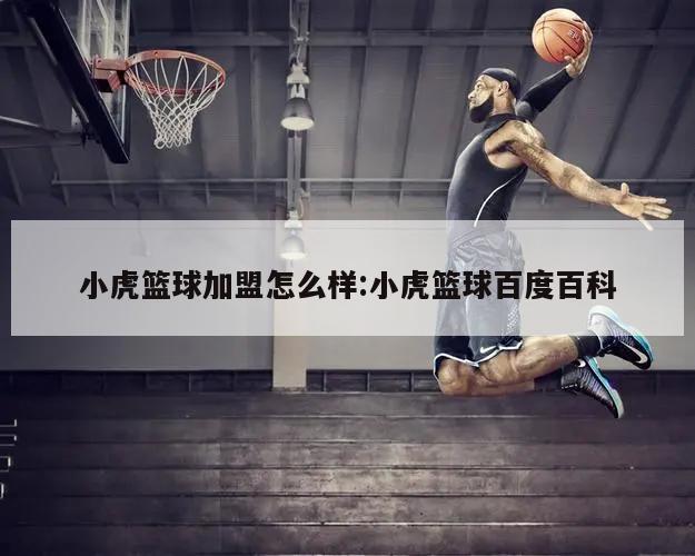 小虎篮球加盟怎么样:小虎篮球百度百科